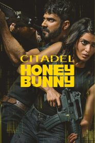 Citadel: Honey Bunny